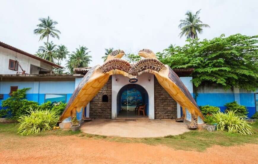 Hikkaduwa Turtle Sanctuary
