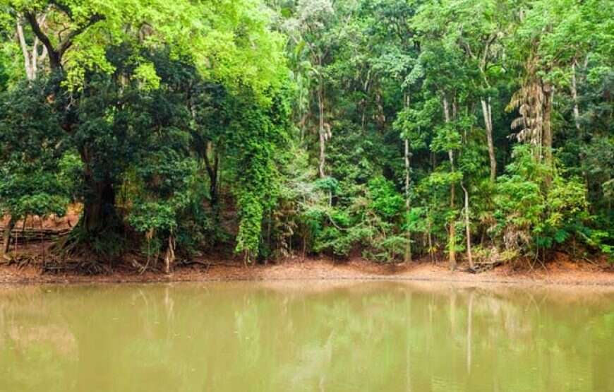 Day 6 - Visit Udawatta Kele Forest Reserve 