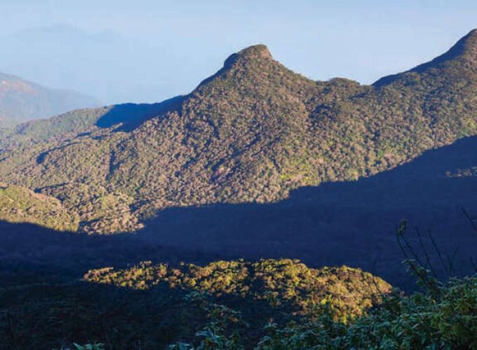 Adam's Peak
