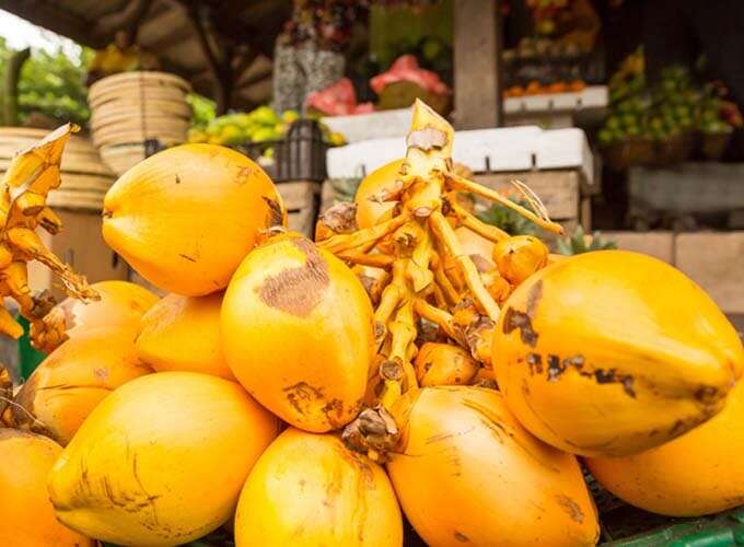 Day 9 - Explore Pettah 