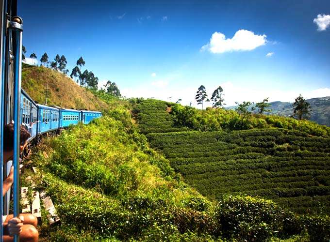Nuwara Eliya scenery