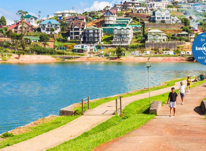 Tea plantations in Nuwara Eliya
