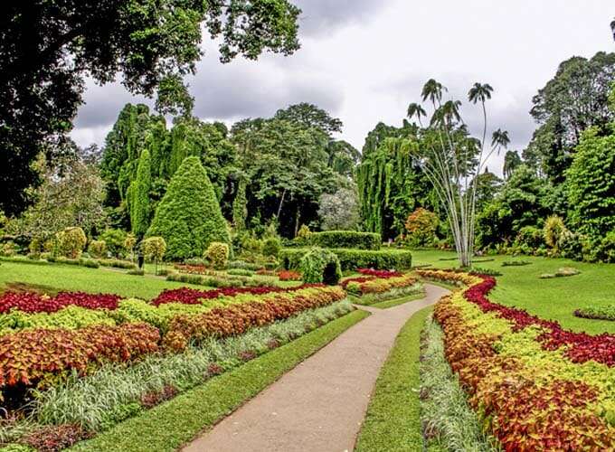 Peradeniya Botanical Garden