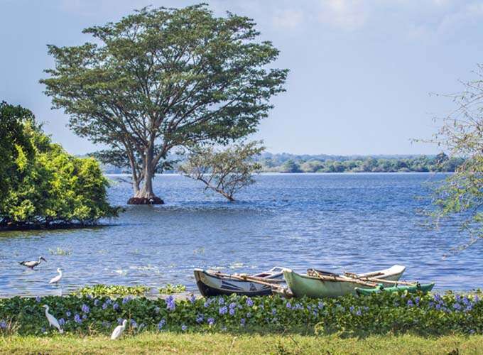 Thabbowa Sanctuary in Puttalam