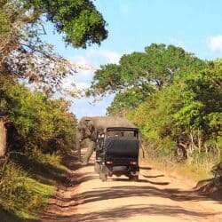 Yala National Park