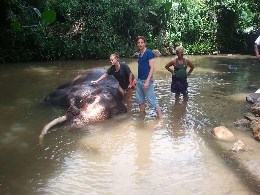 Day 5-  Kandy City tour