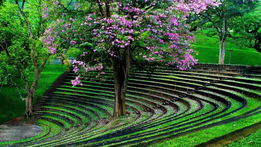 Day 6 - Kandy | Nuwara Eliya