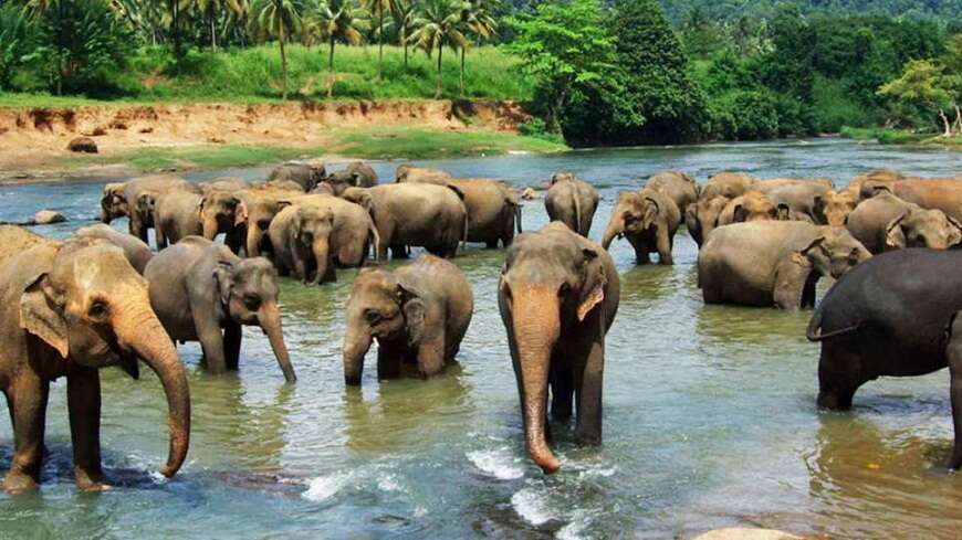 Day 5 - Kandy  City Tour