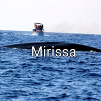 Mirissa