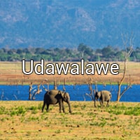 Udawalawe