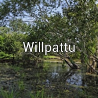 Willpattu