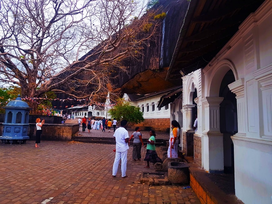 Day 2 - Negombo | Pinnawala | Dambulla